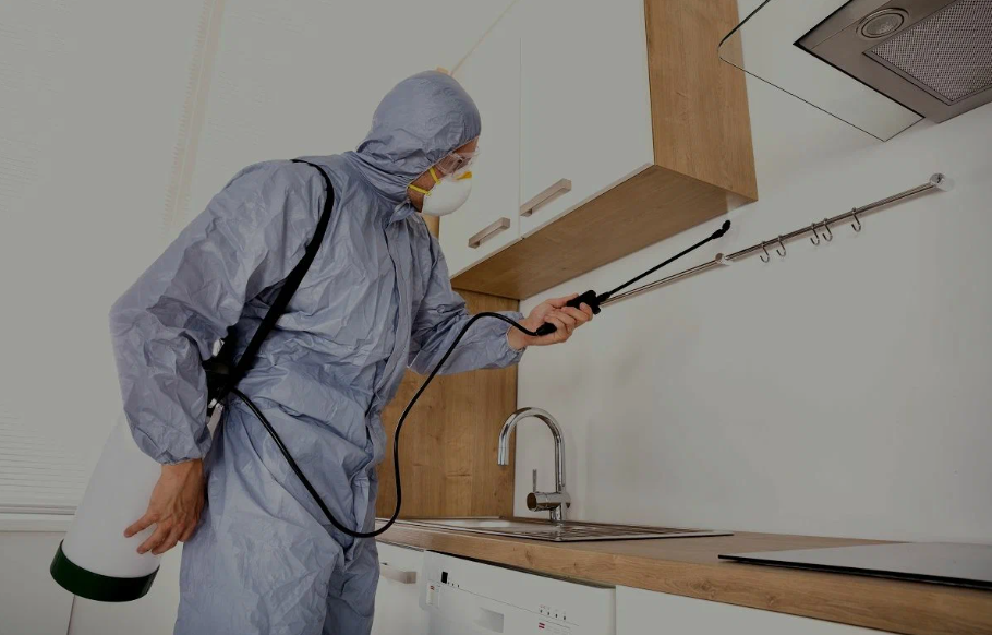 San Jacinto pest managment